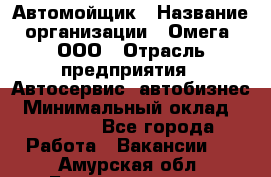 Автомойщик › Название организации ­ Омега, ООО › Отрасль предприятия ­ Автосервис, автобизнес › Минимальный оклад ­ 50 000 - Все города Работа » Вакансии   . Амурская обл.,Благовещенск г.